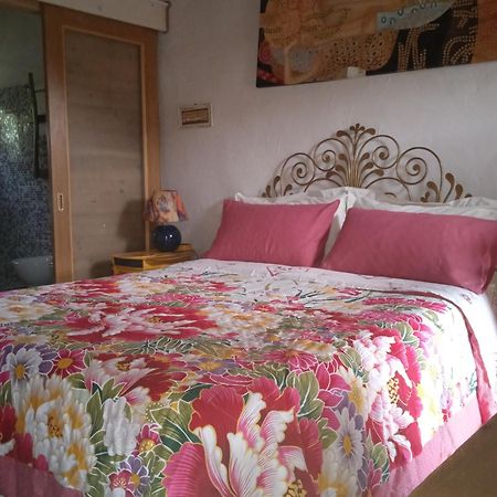 Poggio Del Sole Bed and Breakfast Bassano del Grappa Buitenkant foto