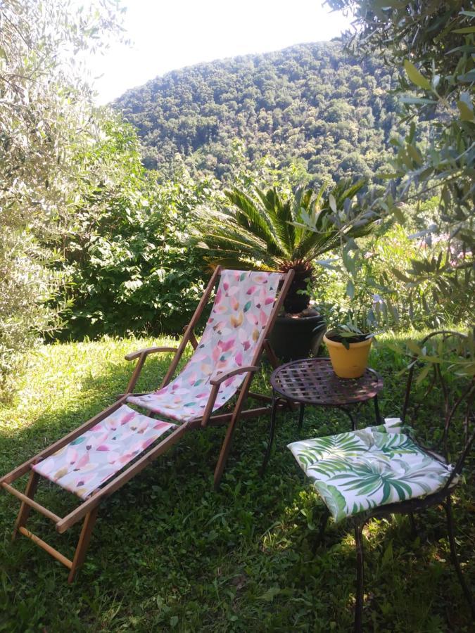 Poggio Del Sole Bed and Breakfast Bassano del Grappa Buitenkant foto